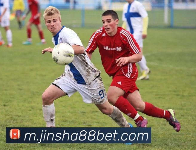 金沙国际服务体系